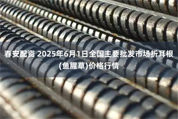 春安配资 2025年6月1日全国主要批发市场折耳根(鱼腥草)价格行情