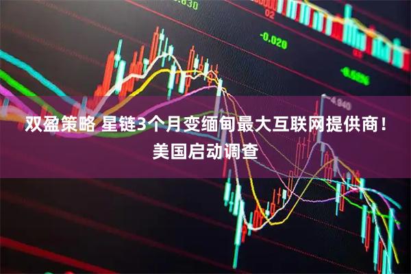 双盈策略 星链3个月变缅甸最大互联网提供商！美国启动调查
