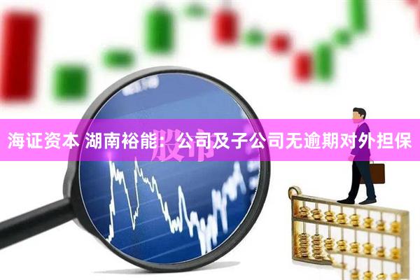 海证资本 湖南裕能：公司及子公司无逾期对外担保
