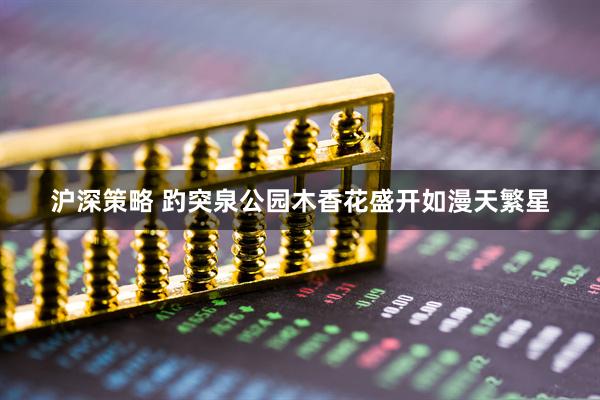 沪深策略 趵突泉公园木香花盛开如漫天繁星