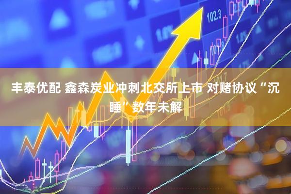 丰泰优配 鑫森炭业冲刺北交所上市 对赌协议“沉睡”数年未解