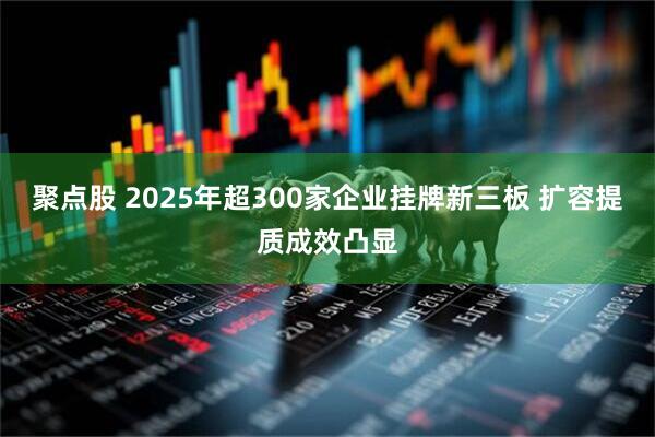 聚点股 2025年超300家企业挂牌新三板 扩容提质成效凸显