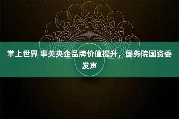 掌上世界 事关央企品牌价值提升，国务院国资委发声