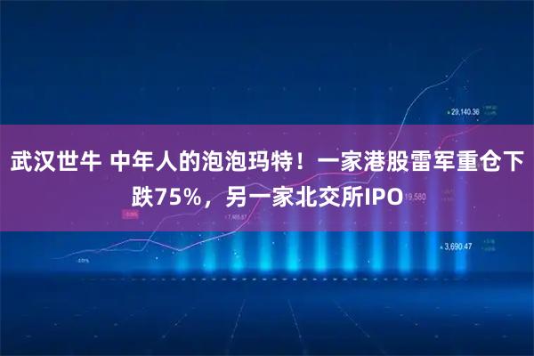 武汉世牛 中年人的泡泡玛特！一家港股雷军重仓下跌75%，另一家北交所IPO