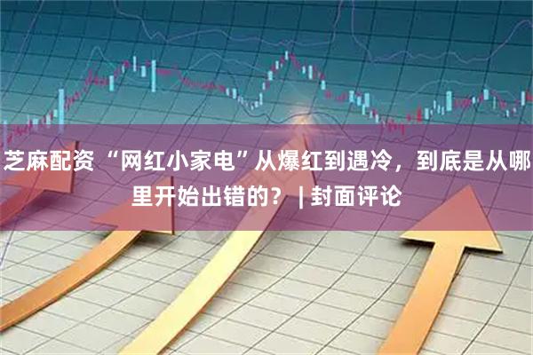 芝麻配资 “网红小家电”从爆红到遇冷，到底是从哪里开始出错的？ | 封面评论
